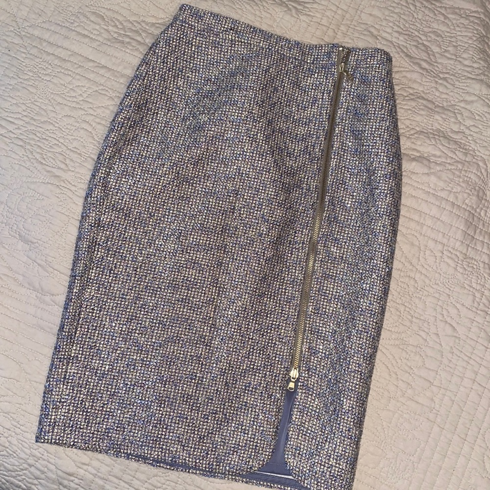 Sparkly JCrew Skirt